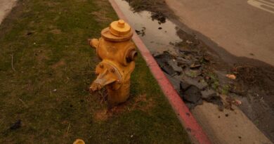 Fire hydrants ran dry due extreme demand in Pacific Palisades, officials say