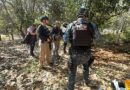 More than 30 bodies pulled from hidden graves in Mexico region plagued by drug cartel turf war