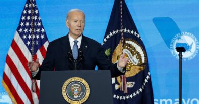 Biden’s last-minute constitutional change slammed by legal experts: ‘Cynical and irrelevant’