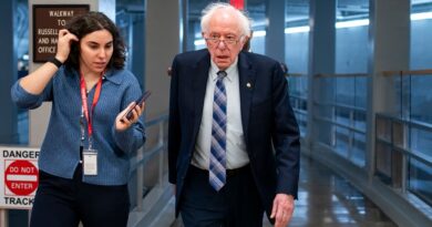 Sanders calls for H-1B visa reform: 'Elon Musk is wrong'