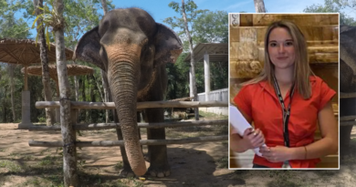 Elephant expert warns tourists after Blanca Ojanguren García’s death in Thailand