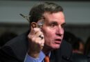 Top Senate Intel Democrat 'flabbergasted' by removal of GOP House Intelligence chair