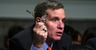 Top Senate Intel Democrat 'flabbergasted' by removal of GOP House Intelligence chair