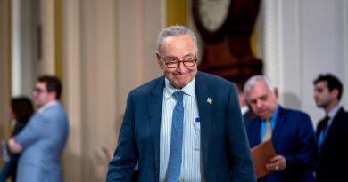 Senate Democrats say they will vote to advance bill to detain migrants accused of crimes