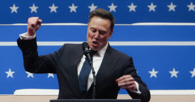 Elon Musk spoke privately with Todd Young, did not ask for guarantee on Tulsi Gabbard