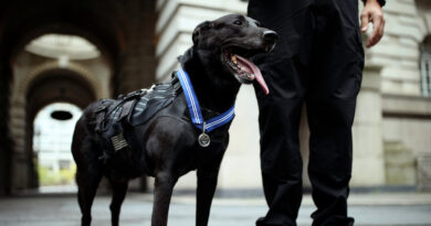 Hurricane, Dog Who Protected Obama White House From Intruder, Dies at 15