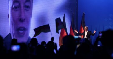 Elon Musk Congratulates AfD Leader on Germany’s Election Results