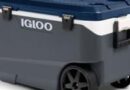 Igloo cooler sold at Walmart, Amazon and Costco recalled due to risk of fingertip injury