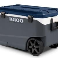 Igloo cooler sold at Walmart, Amazon and Costco recalled due to risk of fingertip injury