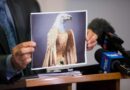 B.C. Supreme Court judge allows eagle sculpture insurance case despite ‘inexcusable’ delays