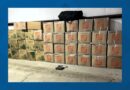 Traffic stop leads to the seizure of 1,705 pounds of illegal marijuana