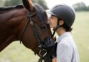 Horses and Humans Go Blind for Similar Reasons, So This Medicine Might Cure Both