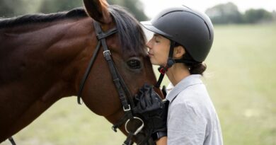 Horses and Humans Go Blind for Similar Reasons, So This Medicine Might Cure Both