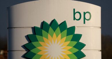 BP to increase oil and gas investment despite pace of global warming | Money News