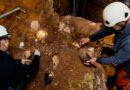 Earliest human face fossil from Western Europe, nicknamed “Pink,” discovered in Spanish pit