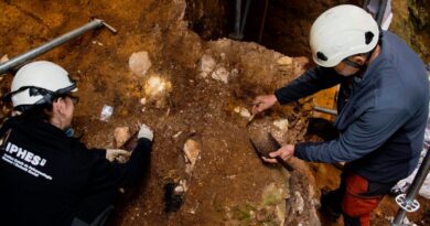 Earliest human face fossil from Western Europe, nicknamed “Pink,” discovered in Spanish pit