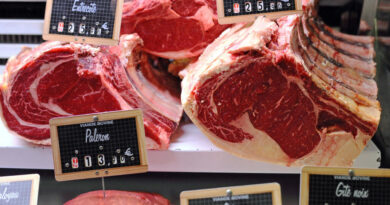 'Red meat and cars': French men’s carbon footprint 26% higher than women's, study finds