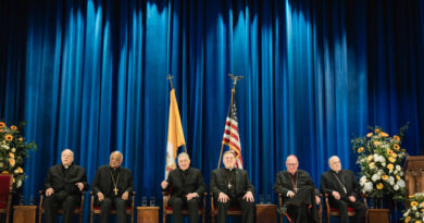A United Front for Pope Leo Among American Cardinals