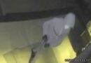 Surveillance video shows burglars targeting home in Hancock Park while homeowner and kids were sleeping