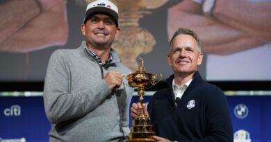 Where things stand for each Ryder Cup team after two majors
