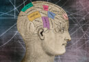 Two Theories of Consciousness Faced Off. The Ref Took a Beating.