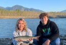 Fraser River to see record-breaking run of pink salmon