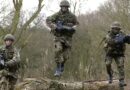 Honouring veterans isn’t just about parades – we must stand up for heroes | UK | News
