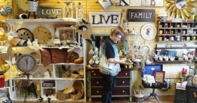 'Forget about annexation': Moose Jaw hopes tariffs will lure Canadians and Americans