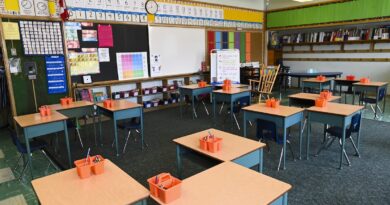 Study warns violence in Ontario schools is at ‘crisis levels’ for teachers and education workers