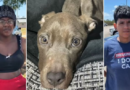 ‘Bones with skin:’ 2 arrested after starving puppy found in Brevard home bathroom