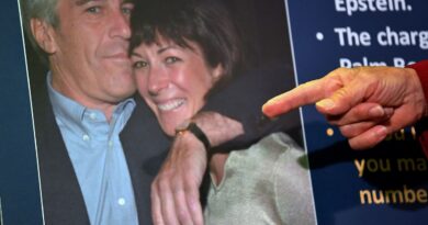 Kash Patel, Dan Bongino enrage conspiracy theorists with new take on Jeffrey Epstein suicide