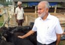 Padma Shri recipient and former ICAR chief S. Ayyappan found dead in Cauvery river near Mysuru