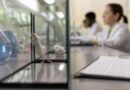 NIH Funding Now Will Prioritize Research That Eschews Animal Testing to Push Innovation