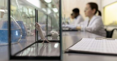 NIH Funding Now Will Prioritize Research That Eschews Animal Testing to Push Innovation
