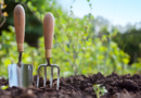 Dear Annie: My neighbor expects me to be her personal gardener for free