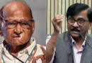 ‘Don’t Bring Local Politics Into India’s Global Outreach On Terror’: Sharad Pawar To Sanjay Raut
