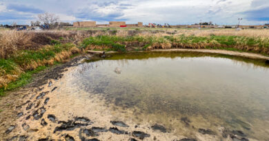 Weld County oil well exposed people to high levels of benzene, researchers say