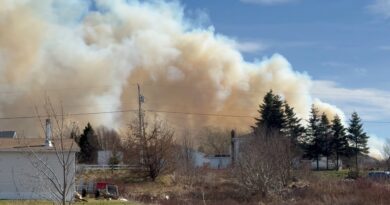 N.L. town declares state of emergency, issues evacuation order over wildfire