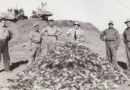 75 years of Alberta’s mission to keep rats at bay