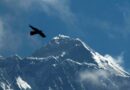 British mountaineer scales Mount Everest for record 19th time