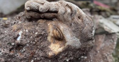 Roman excavators find ancient deity head during dig at Catholic church