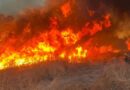 Bryce Fire fire chars 850 acres in eastern Arizona, 25% contained