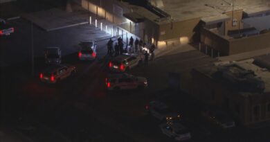 Glendale suspect injures people with machete and bat
