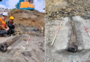 Well-preserved 2000-year-old Roman water pipe unearthed in Leuven, Belgium