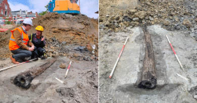 Well-preserved 2000-year-old Roman water pipe unearthed in Leuven, Belgium