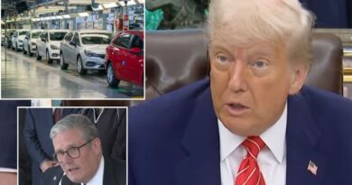 Donald Trump slashes auto tariffs to 10% for UK in major victory for car manufacturers