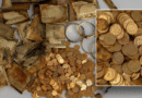 Stunning treasure discovered by hikers on tourist walk in Czech Republic