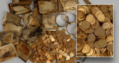 Stunning treasure discovered by hikers on tourist walk in Czech Republic
