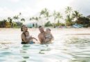 Hawaii may hike its tax on tourists and vacationers for climate change fund