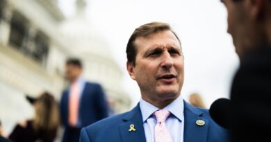 Democrats urge Trump administration to ramp up efforts to curb trafficking of U.S.-made guns across border